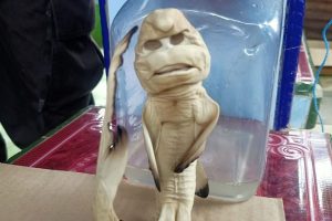 Nelayan Temukan Ikan Langka Berwajah Karakter Kartun