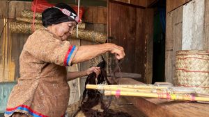 Kain Kulit Kayu Tradisi Orang Kulawi Berjuang Agar Tidak Punah