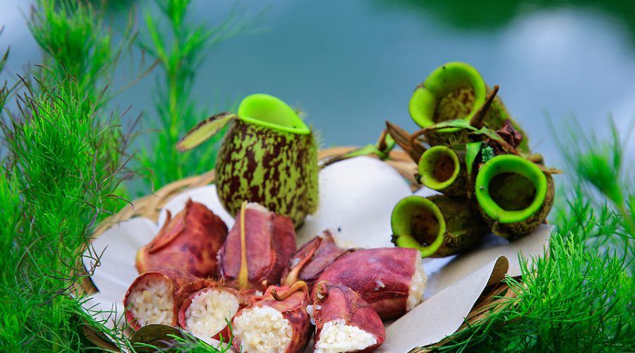 Menikmati Lemang Kantong Semar, Kuliner Langka Khas Kerinci