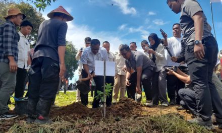 Tobat Ekologis: Menteri LH Siap Tanam 2 Miliar Pohon Bambu