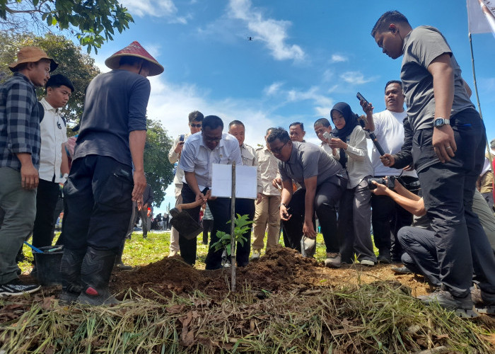 Tobat Ekologis: Menteri LH Siap Tanam 2 Miliar Pohon Bambu