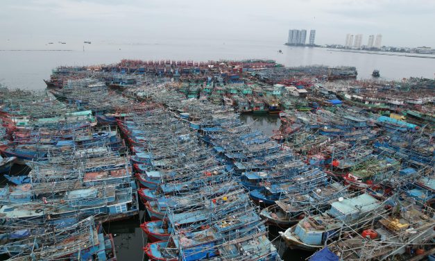 KKP Dorong Peningkatan Ekspor Perikanan Indonesia Ke China