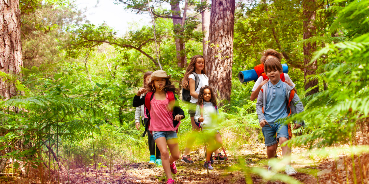 Sekolah Dasar Di Finlandia Terapkan Kurikulum Belajar Di Hutan