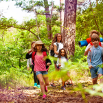 Sekolah Dasar Di Finlandia Terapkan Kurikulum Belajar Di Hutan