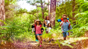 Sekolah Dasar Di Finlandia Terapkan Kurikulum Belajar Di Hutan