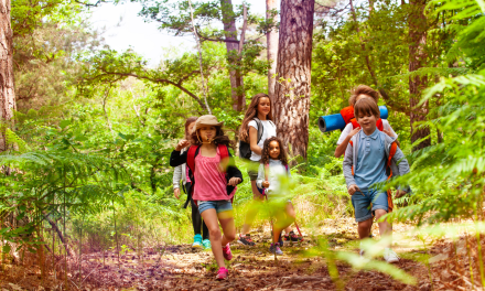 Sekolah Dasar Di Finlandia Terapkan Kurikulum Belajar Di Hutan