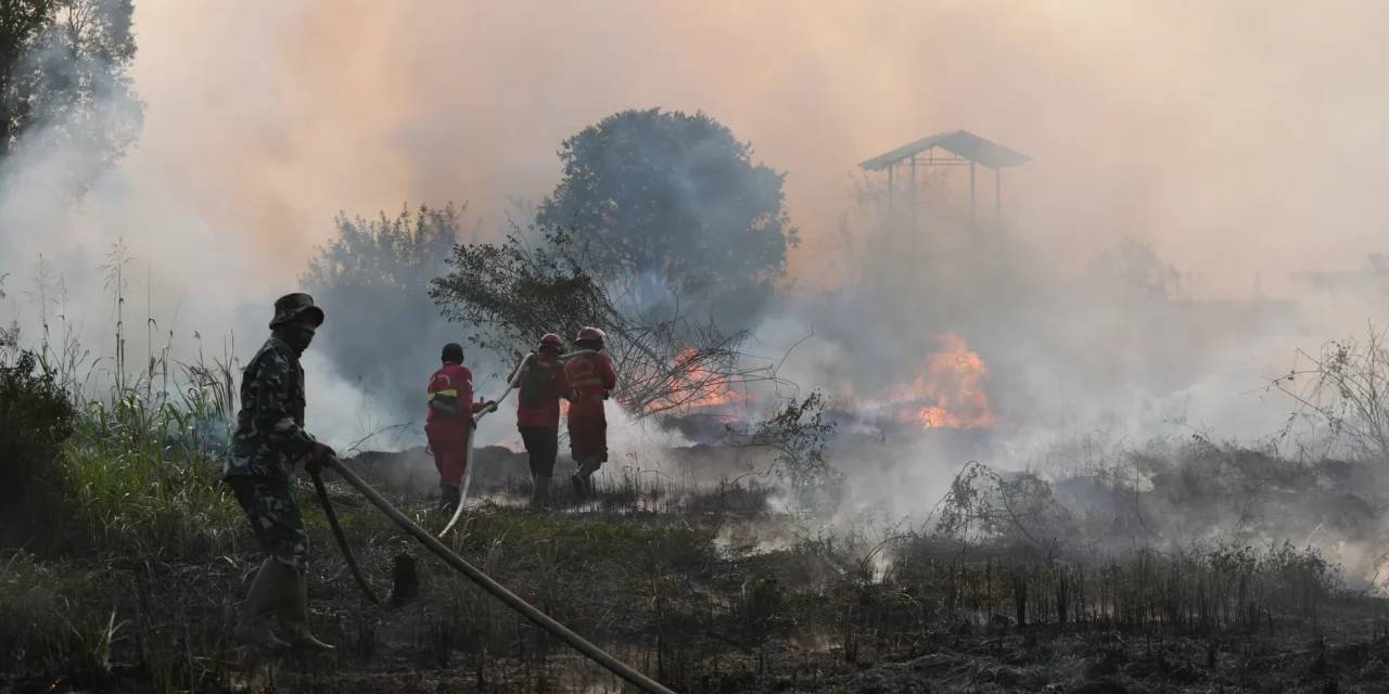 Satgas Karhutla Riau Dan Sumsel Kendalikan Laju Penyebaran Api