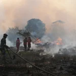 Satgas Karhutla Riau Dan Sumsel Kendalikan Laju Penyebaran Api