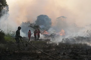 Satgas Karhutla Riau Dan Sumsel Kendalikan Laju Penyebaran Api