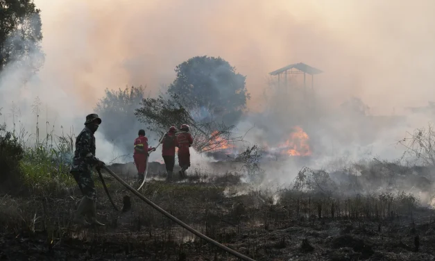 Satgas Karhutla Riau Dan Sumsel Kendalikan Laju Penyebaran Api