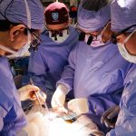 Massachusetts General Hospital Sukses Transplantasi Ginjal Babi