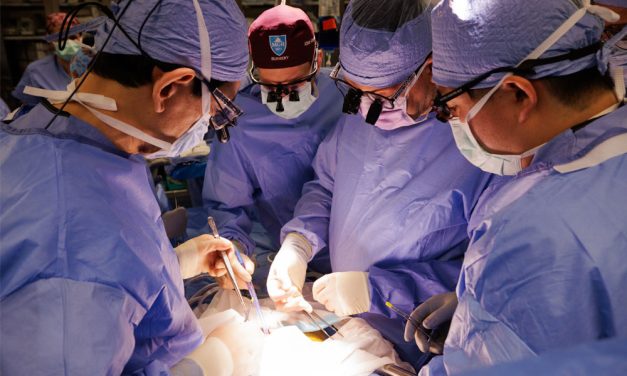 Massachusetts General Hospital Sukses Transplantasi Ginjal Babi
