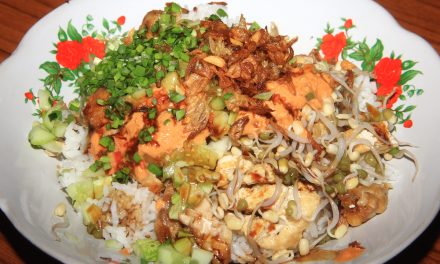 Kelezatan Nasi Lengko Hidangan Tahu-Tempe Autentik Cirebon