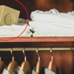 Trik Sisa Sabun Batang Jadi Pewangi Alami Di Lemari Pakaian