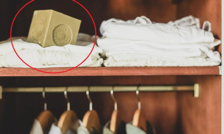 Trik Sisa Sabun Batang Jadi Pewangi Alami Di Lemari Pakaian